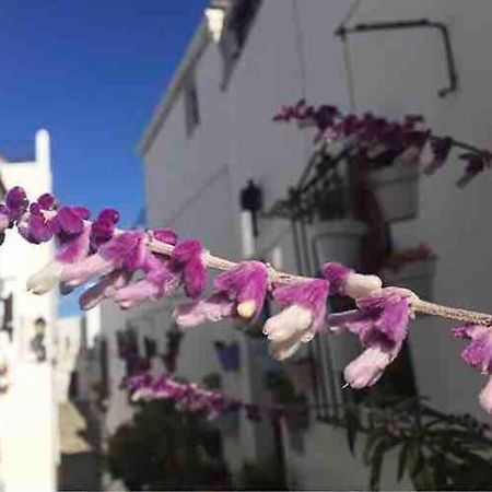 Willa Casa Arena Y Sal En Pleno Casco Antiguo De Vejer Vejer de la Frontera Zewnętrze zdjęcie